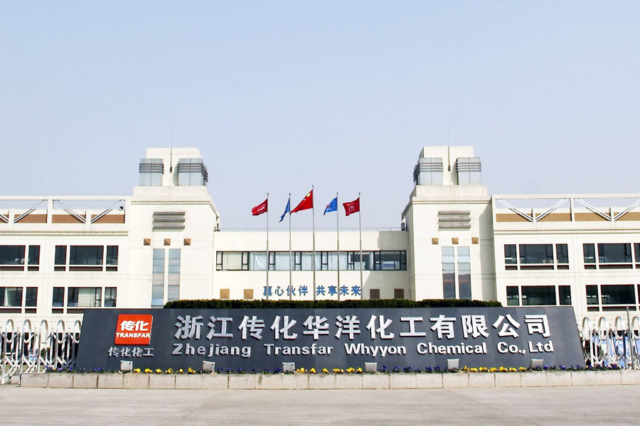 浙江傳化華洋化工有限公司