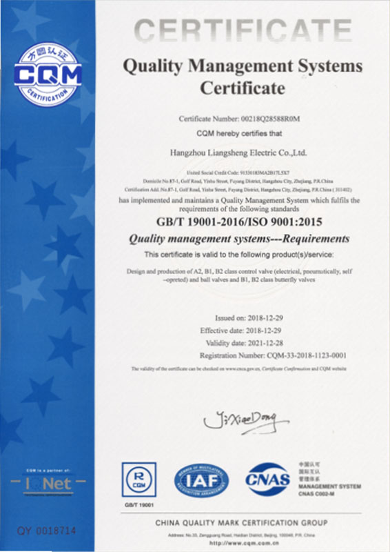 杭州良盛電氣  ISO9001質(zhì)量管理體系認(rèn)證證書（英文）